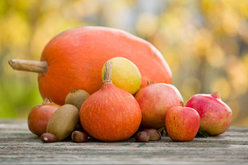 autumn fruits