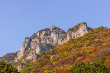  Autumn at Baekyangsan mountain,South Korea.