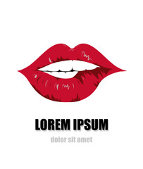 beautiful women red lips on white background