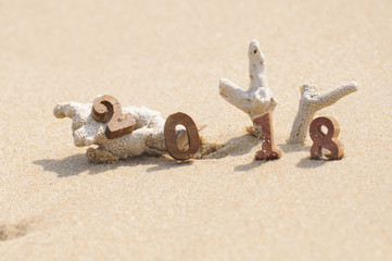 Fototapeta na wymiar Wood number 2018 on tropical beach background, happy new year concept and coral decorative idea