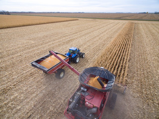 Aerial View of Combining Corn