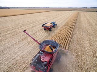 Aerial View of Combining Corn