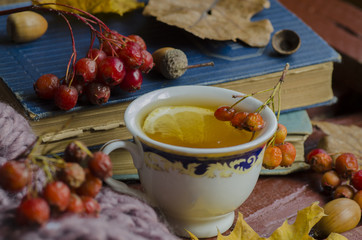 Cup of tea and autumn leaves, nuts, and berries 