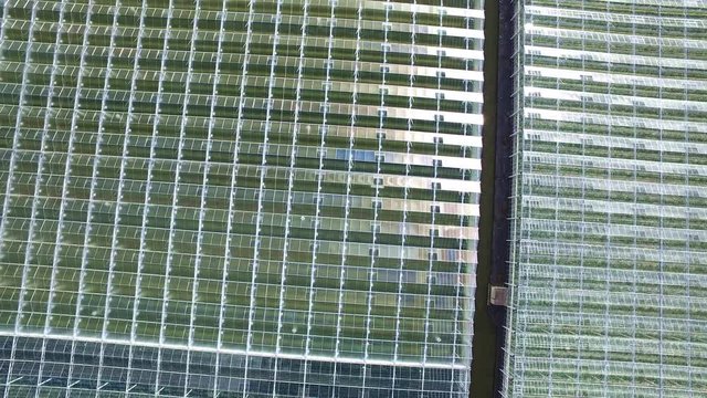 Aerial of greenhouses / glasshouses in the Westland aria in The Netherlands