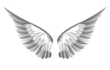 Plakat Wings. Vector illustration on white background. Black and white