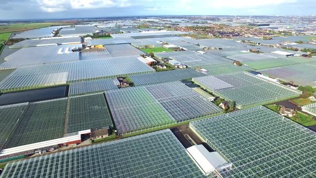 Aerial of greenhouses / glasshouses in the Westland aria in The Netherlands