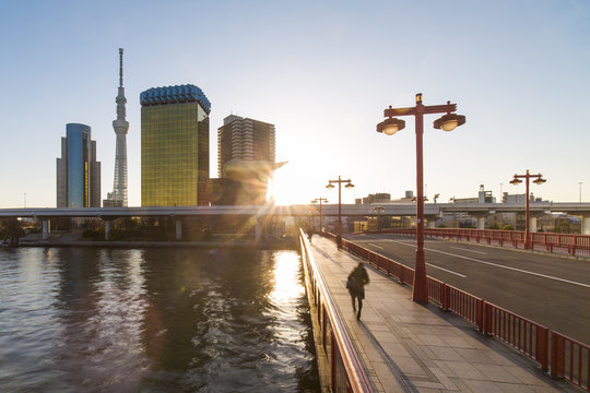 City skyline and the Skytree on the Sumida River at dawn, Tokyo, Japan