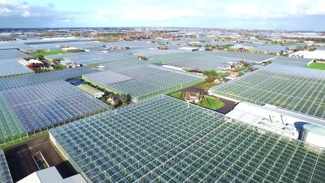 Aerial of greenhouses / glasshouses in the Westland aria in The Netherlands