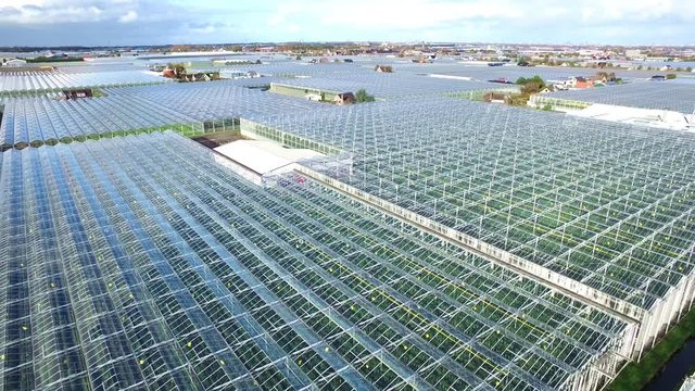 Aerial of greenhouses / glasshouses in the Westland aria in The Netherlands
