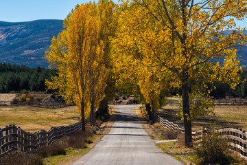 Road in Gredos, Spain, during autumn
