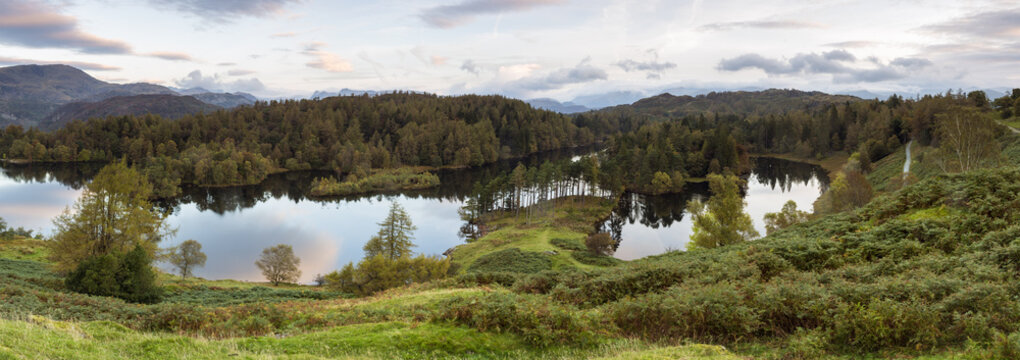 Tarn Hows near Hawkshead, Lake District National Park, Cumbria