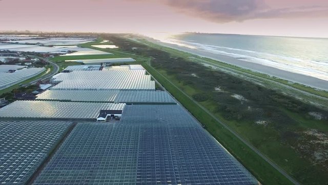 Aerial of greenhouses / glasshouses in the Westland aria in The Netherlands with the dunes and the North Sea