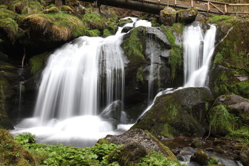 Fototapeta na wymiar Waterfalls in the Black Forest, Germany