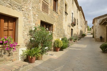 Plants pots in stone street in Monells, Girona, Spain