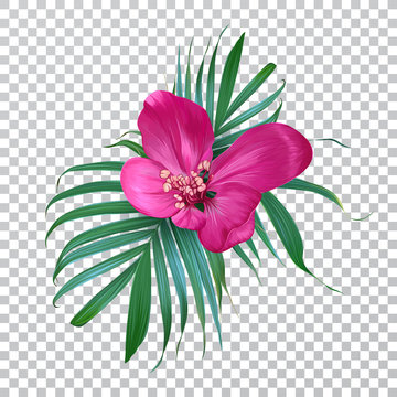 Vector realistic flower and palm leaves on a transparent background. Exotic floral. Trendy colorful design for t-shirt, fashion, print, fabric. Blooming Bouquet. Vintage style.