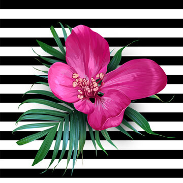 Vector realistic flower and palm leaves on a transparent background. Exotic floral. Trendy colorful design.  Blooming Bouquet. Vintage style.