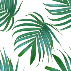  Vector palm leaf background. Tropical leaves seamless pattern. Exotic design. Hawaiian print. Jungle plants. Summer texture.