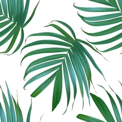 Poster  Vector palm leaf background. Tropical leaves seamless pattern. Exotic design. Hawaiian print. Jungle plants. Summer texture. © yana2607