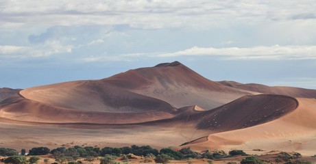 Fototapeta na wymiar Sand dune in Sossusvlei, Namibia. Panoramic view.