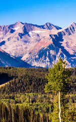 Landscape of the San Juan Mountains with Aspen and Alpine Trees