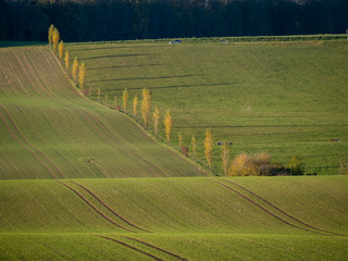 Hügeliges Ackerland