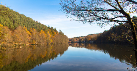 Obraz premium Seehof bei Dahn, Herbststimmung