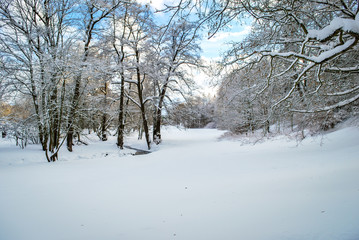 Winterwald