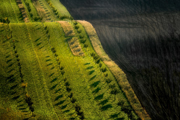 Moravian fields, Moravia, Czech Republic, around the village Kyjov 