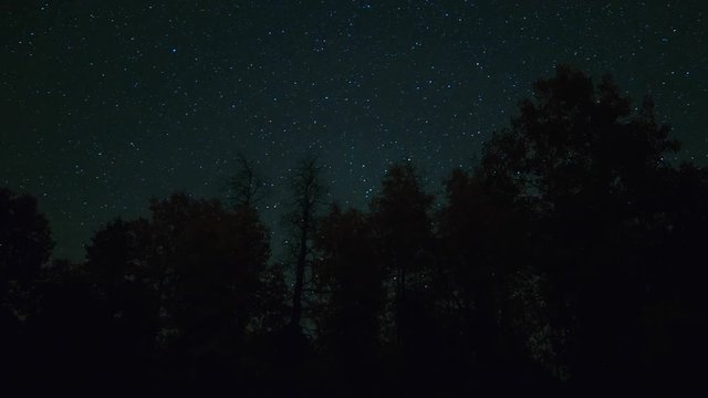 Aspen trees at night on Steens Mountain stars silhouette