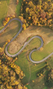 Road in autumn scenery - aerial shot