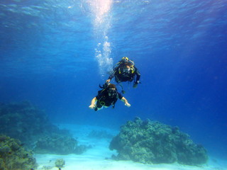 in the red sea