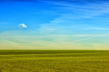 Nature background. Green grass field against a blue sky with wispy white clouds