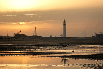 Historical coast of Dunkirk at sunset after low tide