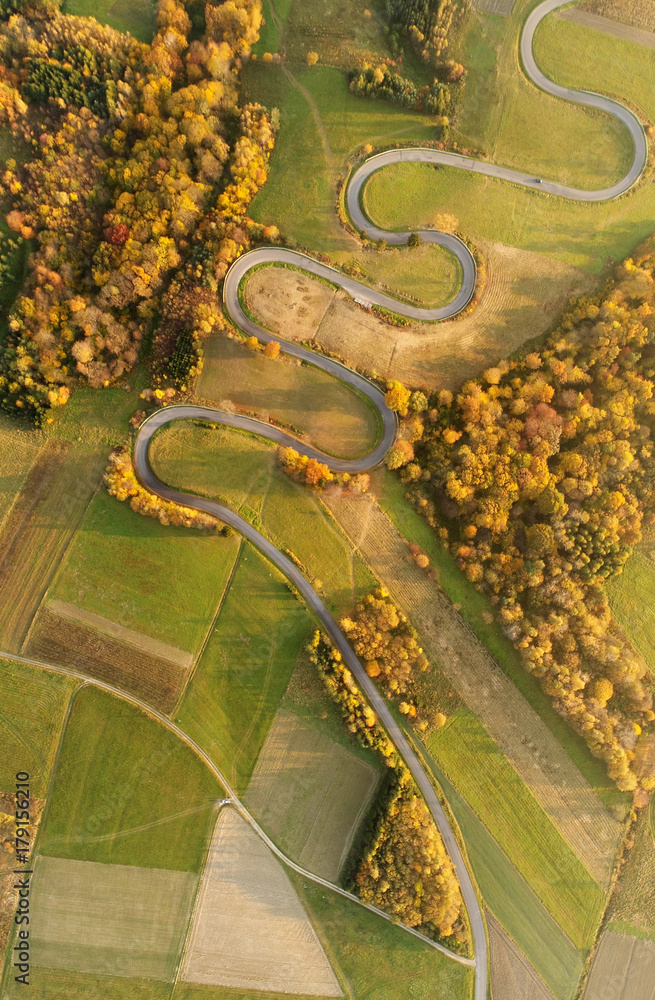Poster Road in autumn scenery - aerial shot - Posters