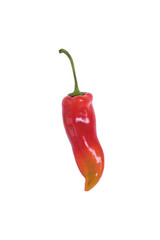 Red pepper