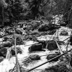 Black and White view of mountain brook. Concept of calendar about Caucasus Mountains and Karachai-Cherkess Republic in Russia. Black-and-white greyscale photo with high contrast.