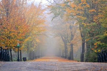 Beautiful autumn landscape. Walkway with autumn colored leaves in the park.