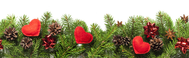 Evergreen branches on white