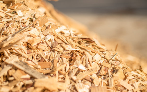The slope of a pile of industrial wood chips.