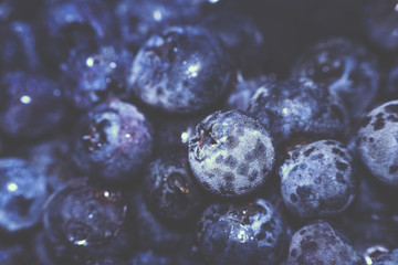 Frozen blue huckleberry also known as tall, swamp or high blueberry. Frozen blue fruits. Cold fruits background