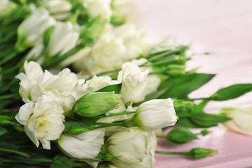 Beautiful eustoma flowers on color background