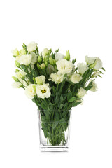 Vase with beautiful eustoma flowers, isolated on white
