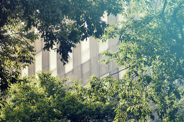 block of flats in green area, the plants filter out CO2 gas and produce oxygen. 