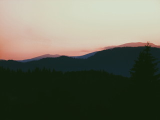 Processed with VSCO with p5 preset