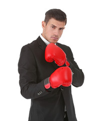 Businessman in boxing gloves on white background