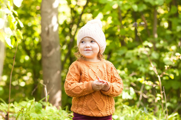 Adorable little girl in the autumn forest, sunny day.