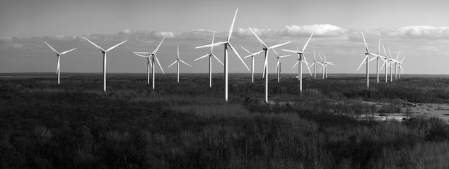 Panorama with wind generators in the spring dark forest
