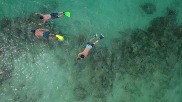 Aerial - Snorkelers in Fiji