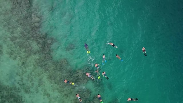 Aerial - Snorkelers in Fiji