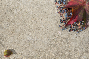 Card with autumn leaves